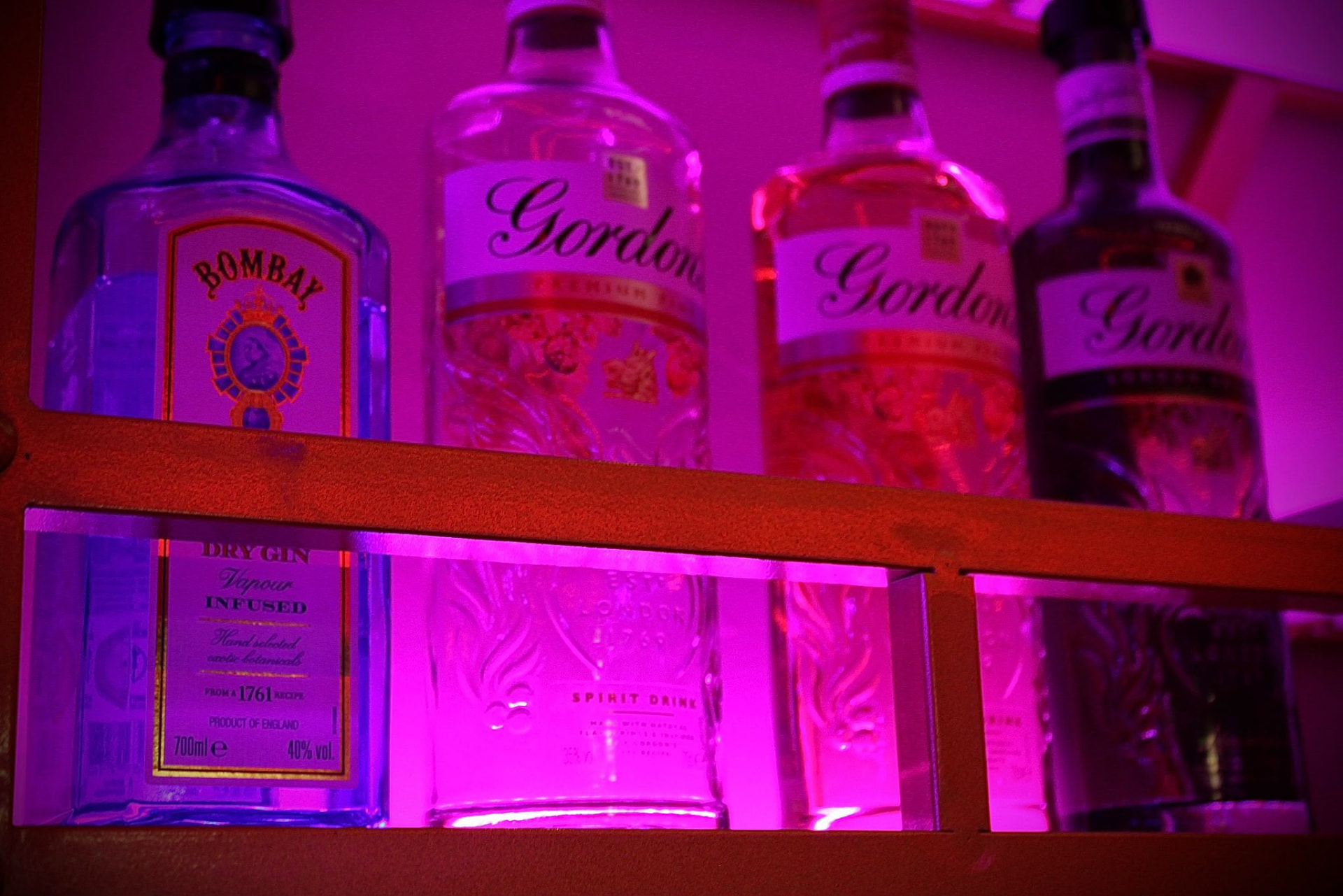 Backlit spirit shelves behind the bar at Fusion Spice